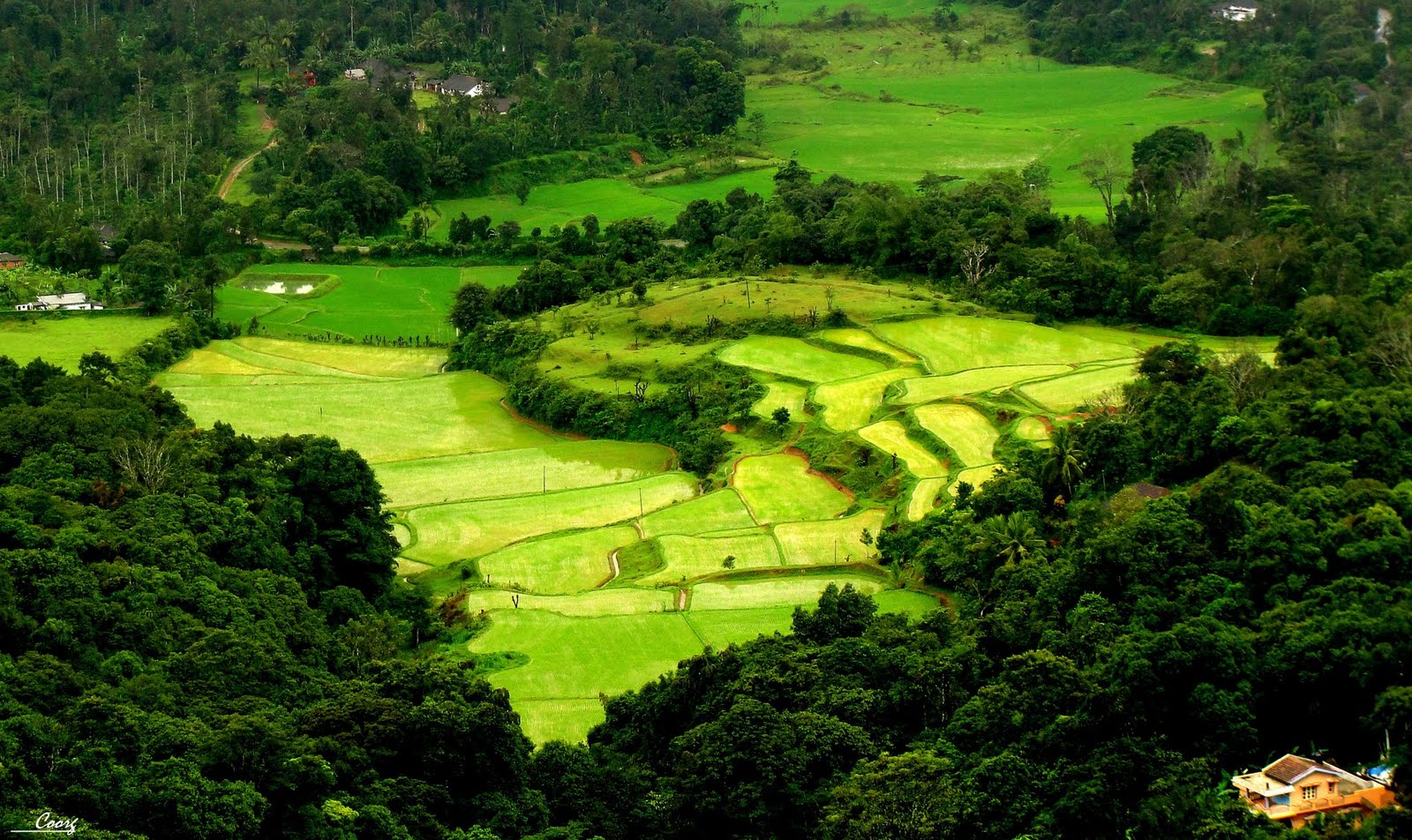 Coorg 