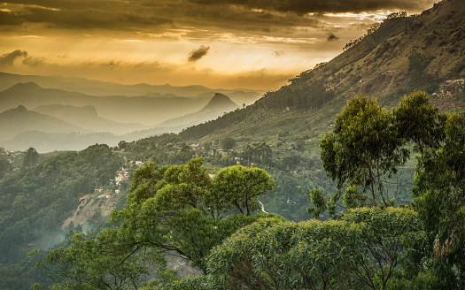 Western Ghats 