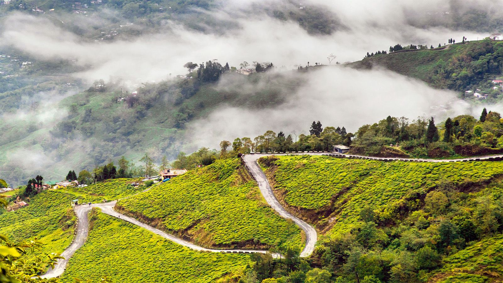 Darjeeling 