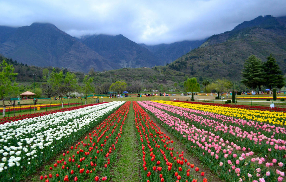 5 Days Srinagar SUV Tour Package 